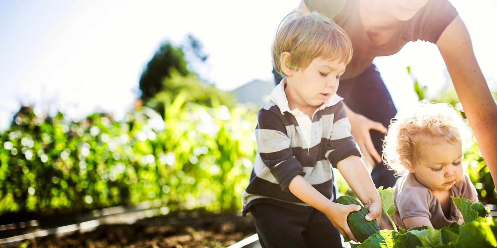 How to create a garden to help sell your home