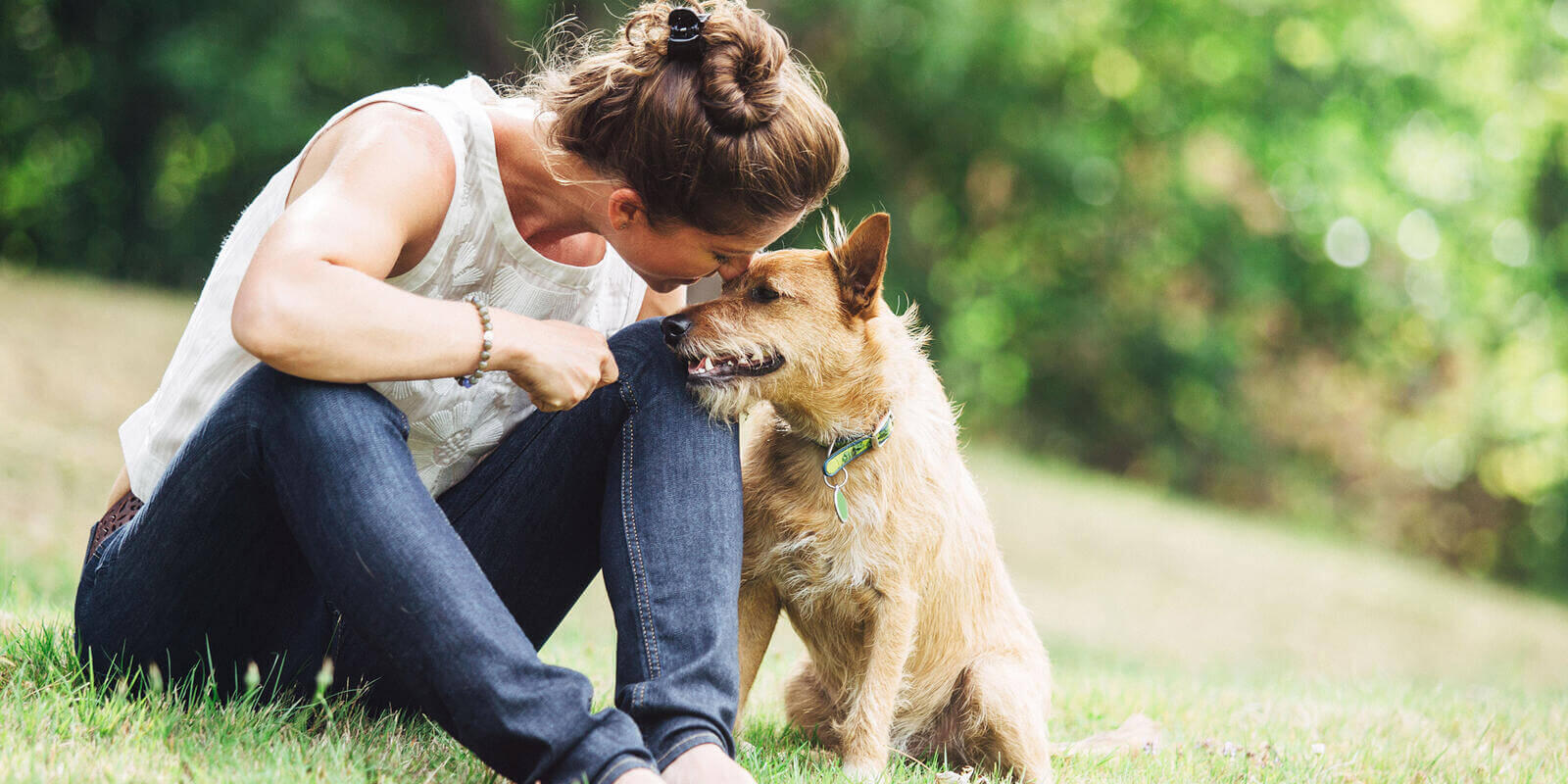 8 of the best gadgets for pet lovers