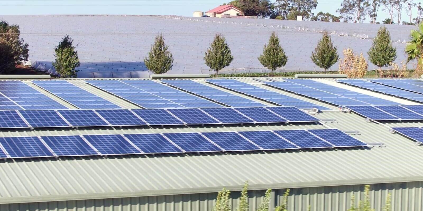 The Burleigh Flowers Farms Commercial Solar Power System 