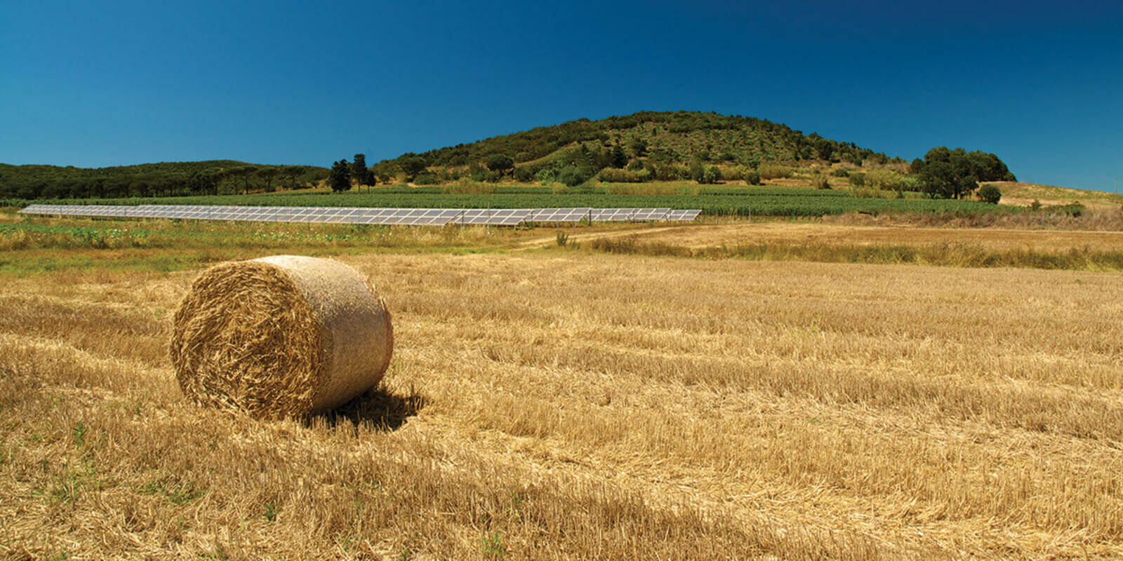 Regional renewables