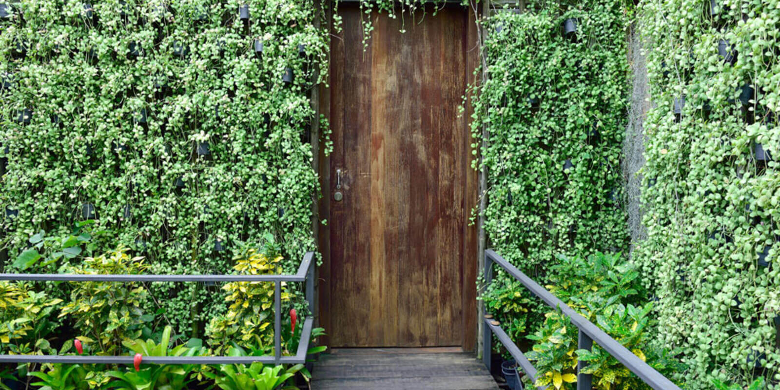 vertical-gardens