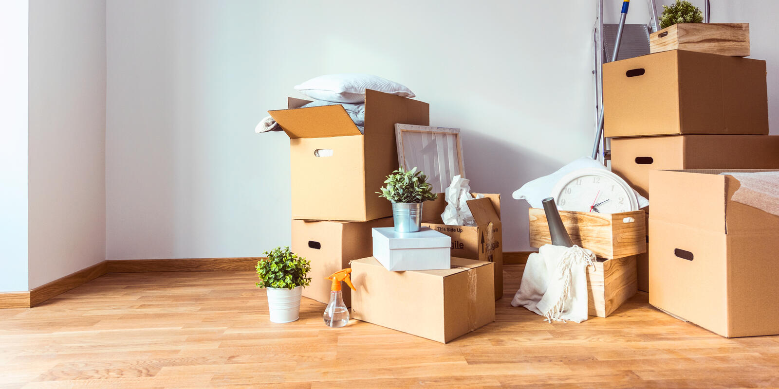 Room full of boxes packed up ready for moving day 