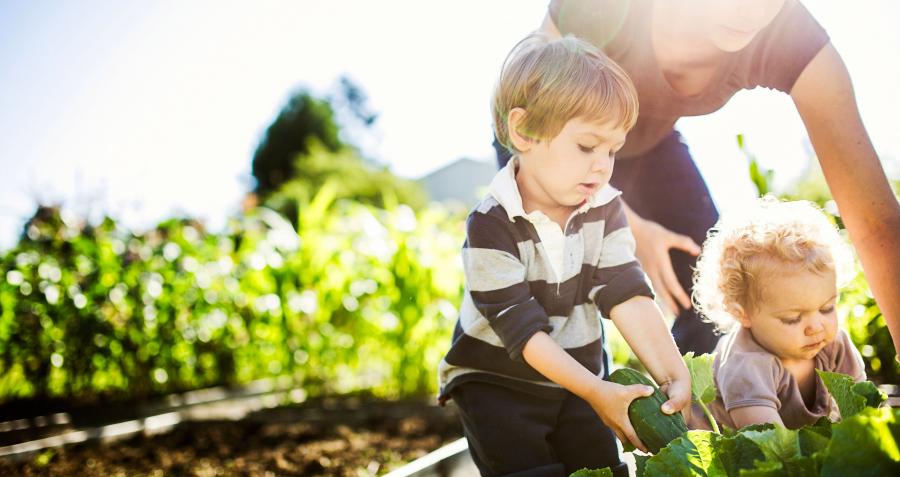 How to create a garden to help sell your home